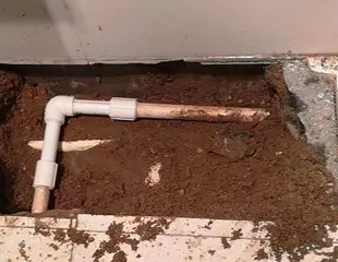 内黄测漏水哪家好