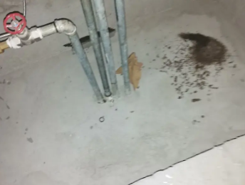 内黄卫生间测漏水价格明细