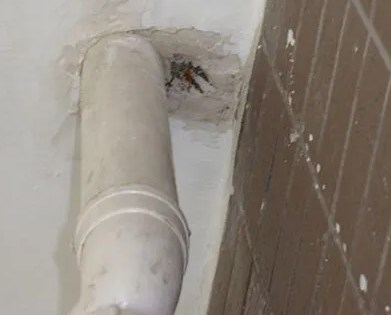 内黄漏水检测哪家好